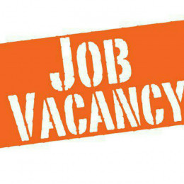 Job Vaccancies