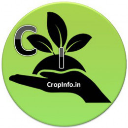 CropInfo_Robo