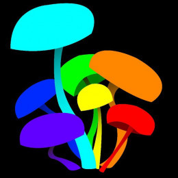 InfectedMushroom