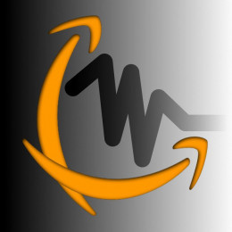 Amazon Trader