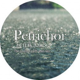 Petrichor☔️