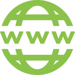 Domain Name