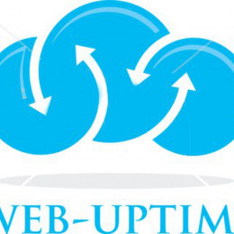 Website Monitor Up time