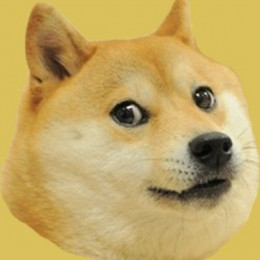 Dogefy