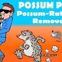 Possum Piper