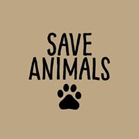 Save Animals