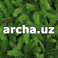 archa.uz