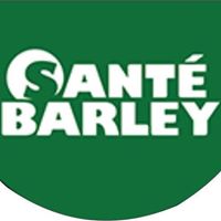 Miracle Sante Barley Grass