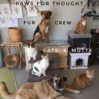 Paws For Thought Boutique For Pets