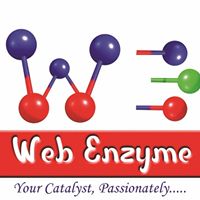 Web Enzyme LLC