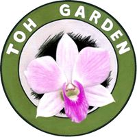 Toh Garden