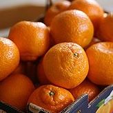 Satsumas For Christmas