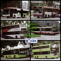 Public Buses of Singapore