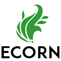 Ecorn - English Hieu Ngo