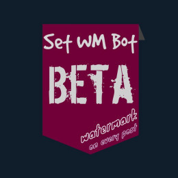 SetWMBot