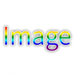 MMIS1000&#039;s Image Bot