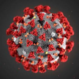 Corona Virus Statistics