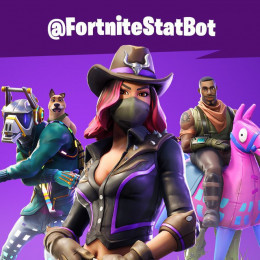 Fortnite Statistics Bot