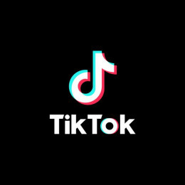 TikTokBot