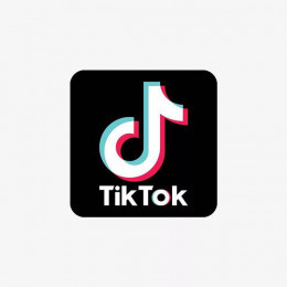 TikTok Downloader