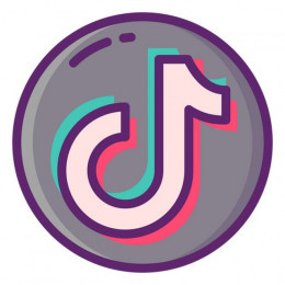 TikTok Downloader