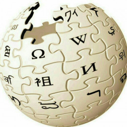 Wikipedia Search