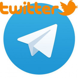 Twitter Telegram