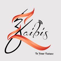 Zaibis Electronics