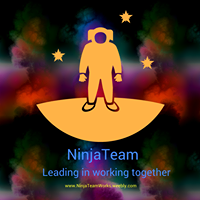 NinjaTeam Support