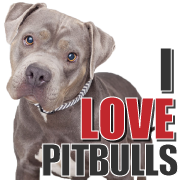 I Love Pitbulls