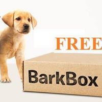 Free Barkbox Subscription