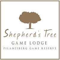 Shepherd's Tree Game Lodge